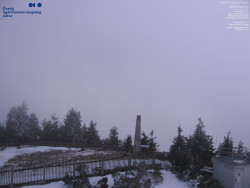 Pohled na jihozápad, Smrk