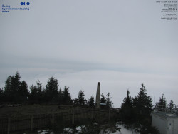 Pohled na jihozápad, Smrk