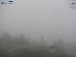 Pohled na jihozápad, Smrk