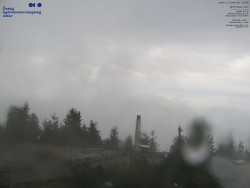 Pohled na jihozápad, Smrk