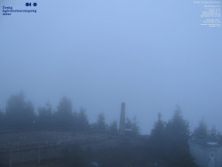 Pohled na jihozápad, Smrk