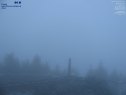 Pohled na jihozápad, Smrk