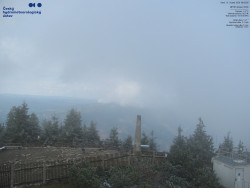 Pohled na jihozápad, Smrk