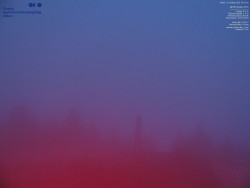 Pohled na jihozápad, Smrk