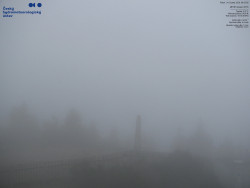 Pohled na jihozápad, Smrk