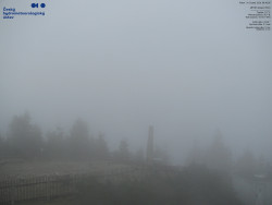 Pohled na jihozápad, Smrk