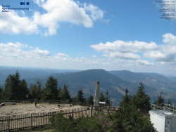 Pohled na jihozápad, Smrk