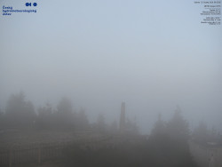 Pohled na jihozápad, Smrk