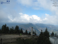 Pohled na jihozápad, Smrk