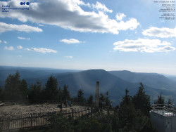 Pohled na jihozápad, Smrk