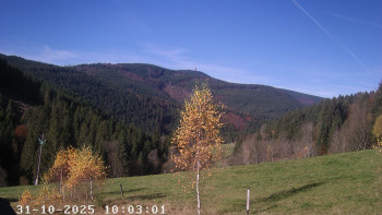 Snímek    31.10.2025 v 10:15