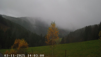 Snímek    3.11.2025 v 14:45