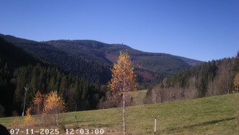 Snímek 7.11.2025 v 12:45