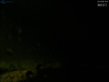 Snímek    28.10.2025 v 19:45