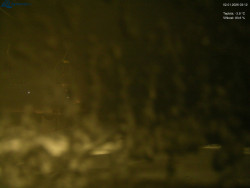 Sjezdovka Morávka - Štěpánka