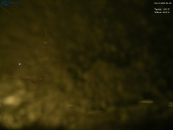 Sjezdovka Morávka - Štěpánka