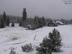 Jeřábkovna