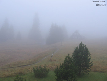 Snímek    29.10.2025 v 11:45