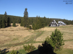 Jeřábkovna