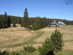 Jeřábkovna