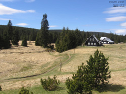 Jeřábkovna