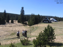 Jeřábkovna