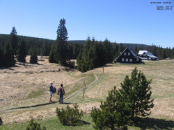 Jeřábkovna