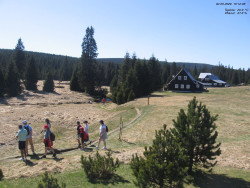 Jeřábkovna