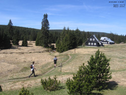 Jeřábkovna
