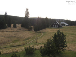 Jeřábkovna