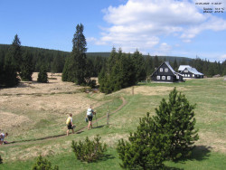 Jeřábkovna