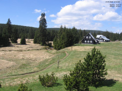 Jeřábkovna