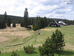 Jeřábkovna