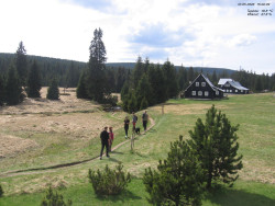 Jeřábkovna