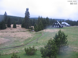 Jeřábkovna