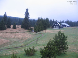 Jeřábkovna