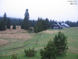 Jeřábkovna
