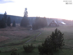 Jeřábkovna