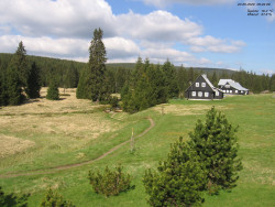 Jeřábkovna