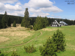 Jeřábkovna