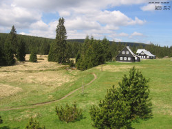 Jeřábkovna