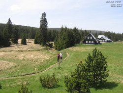 Jeřábkovna