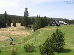 Jeřábkovna