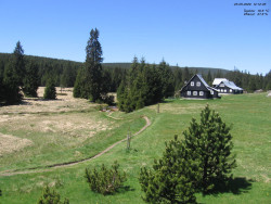 Jeřábkovna