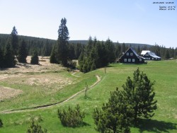 Jeřábkovna