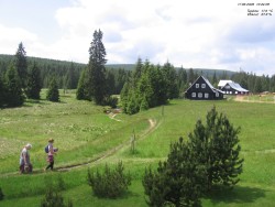 Kranhaus