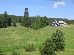 Jeřábkovna