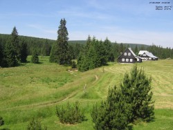 Jeřábkovna