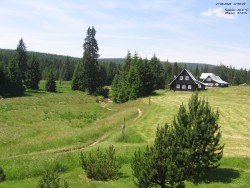 Jeřábkovna