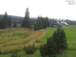 Crane House
